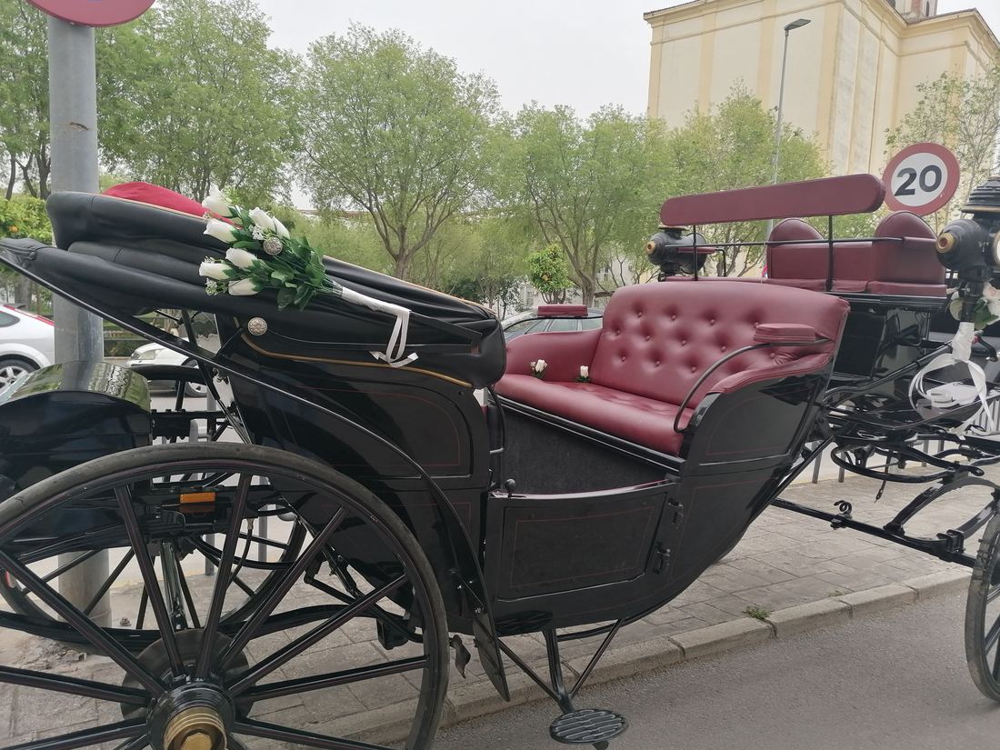 Boda real de Legado Romano — llegada en coche de caballos