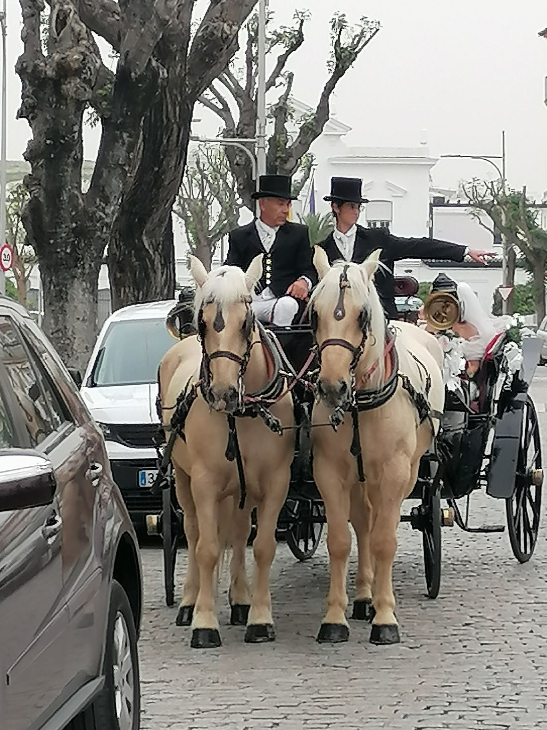 María Ángeles junto a los novios y los caballos blancos del carruaje