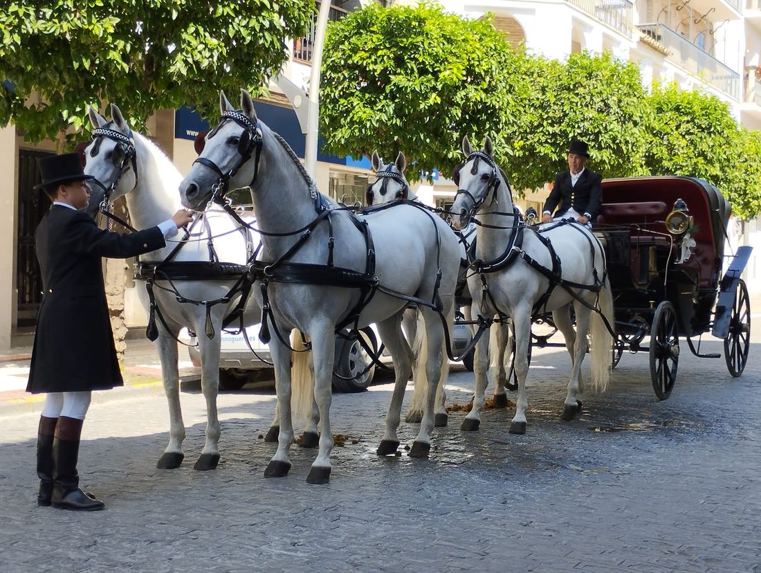 Boda real de Legado Romano — llegada en coche de caballos