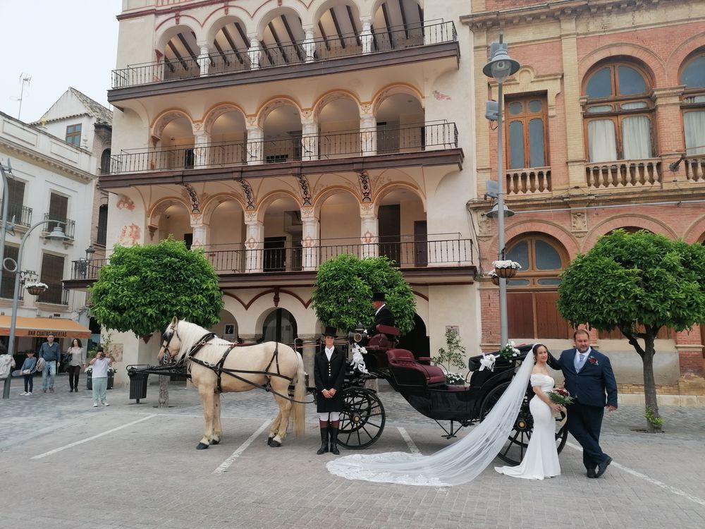 Coche de caballos con caballos blancos para boda en Écija — Legado Romano