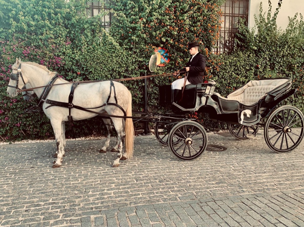 Coche de caballos clásico con caballo blanco para boda — Legado Romano