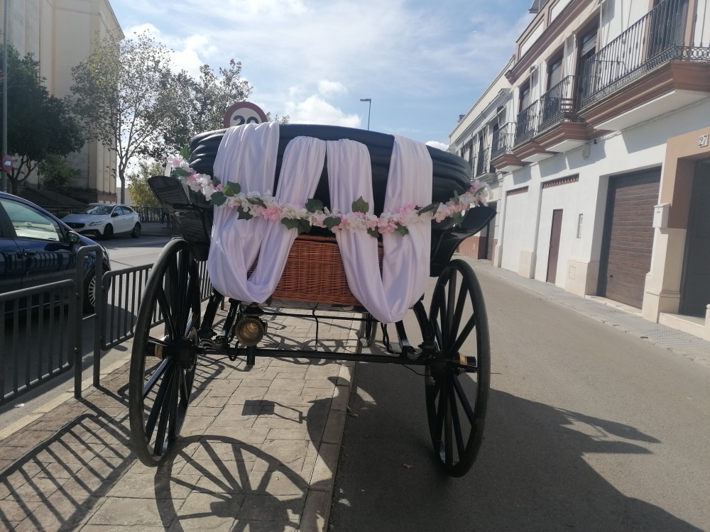 Coche de caballos decorado con drapeado y flores para la boda — Legado Romano